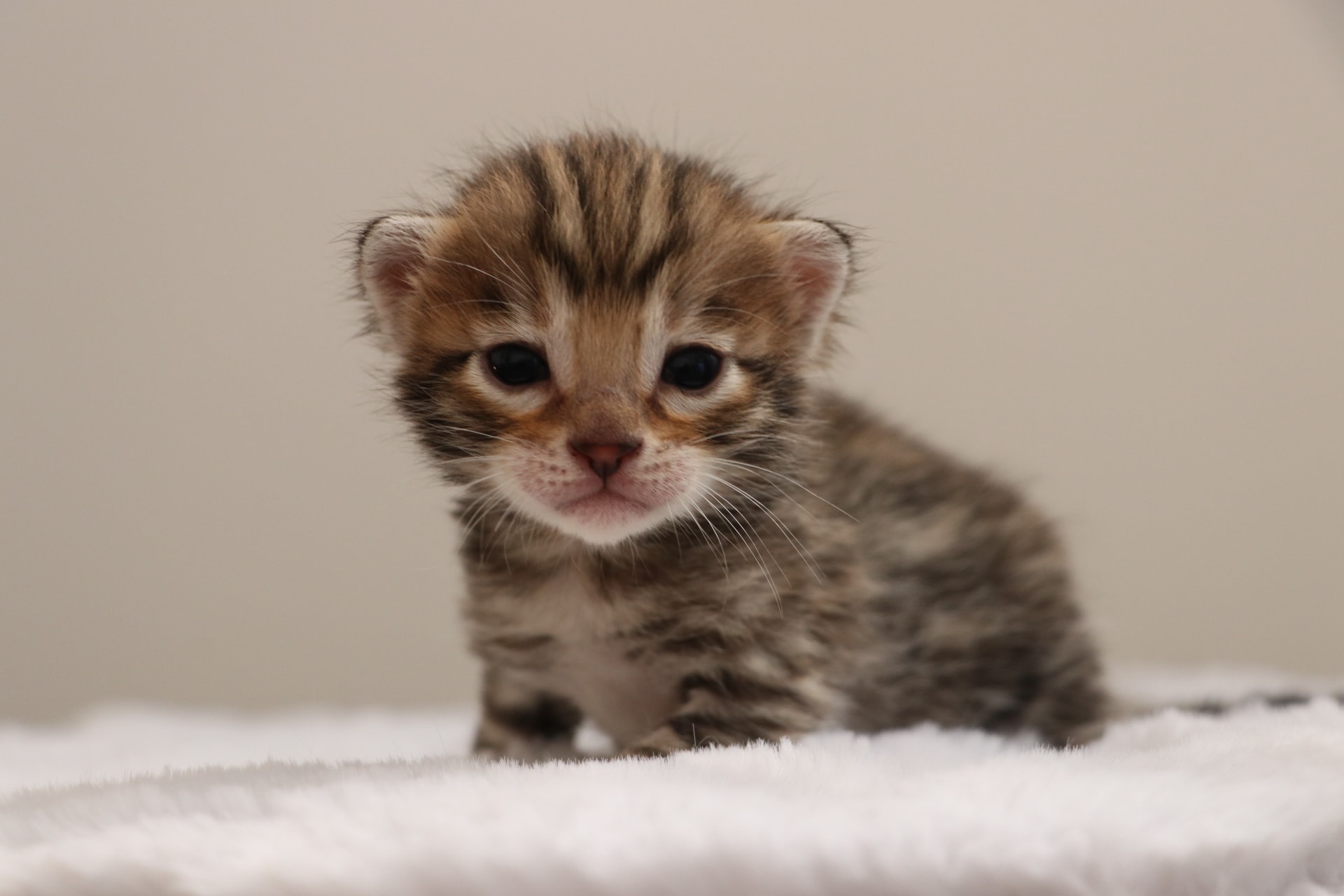 A real test verified